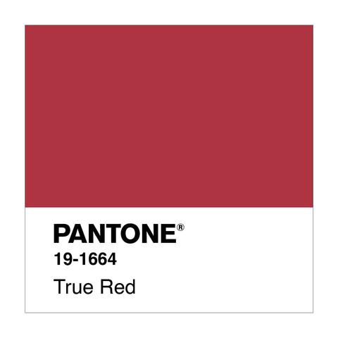 How Is Pantone's Color of the Year Decided?