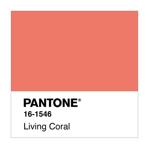 Every Pantone Color of the Year – Walker Edison