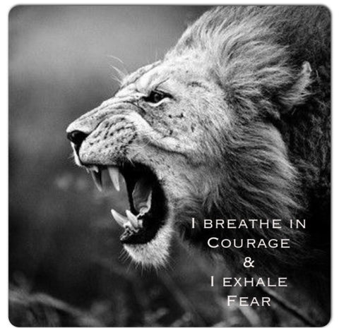 lion courage inhale exhale 