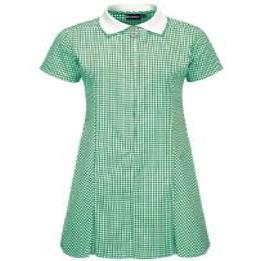 Green Plain Gingham Zip Summer Dress – Uniform Shop Wellingborough