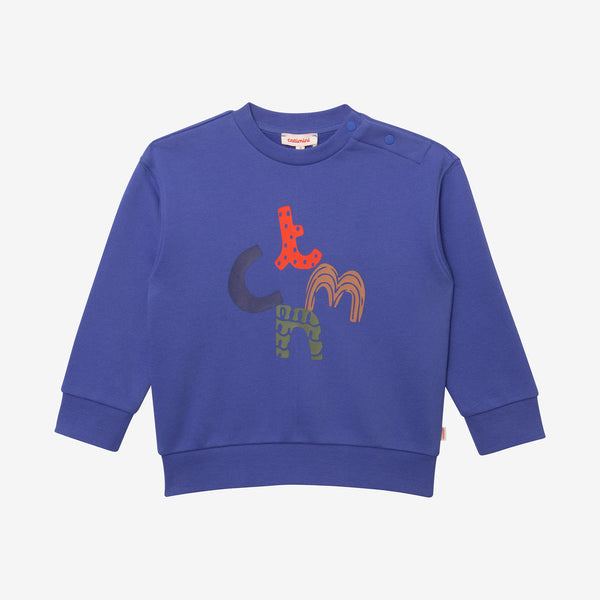 Baby boys' blue sweatshirt