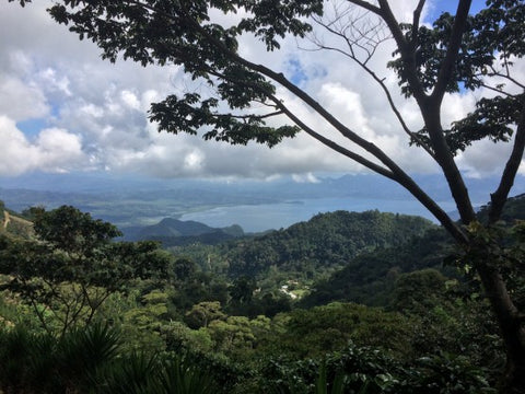 A view of the Yojoa Lake from Margarito’s house.