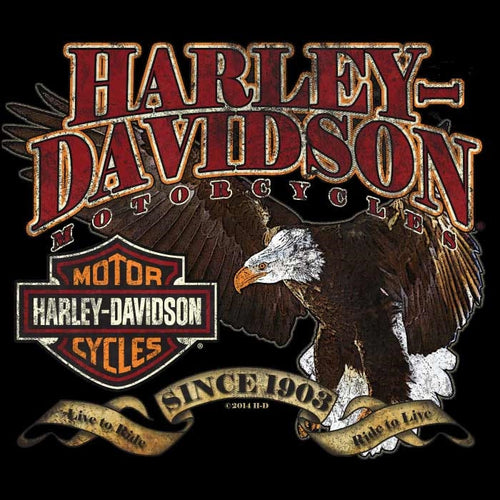 City usa countries other eyes harley davidson shirts t from