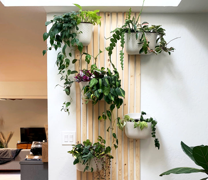 How-To: Diy Mid-Century Style Slatted Plant Wall – Wallygrow