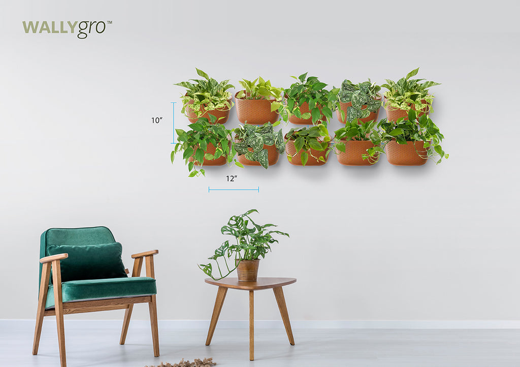 Horizontal 10: Wally Eco Plant Wall Spacing