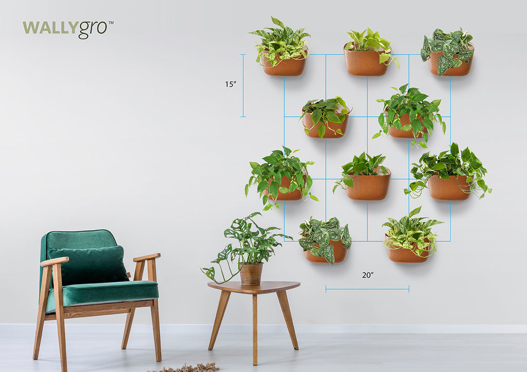 Staggered 10: Wally Eco Plant Wall Spacing
