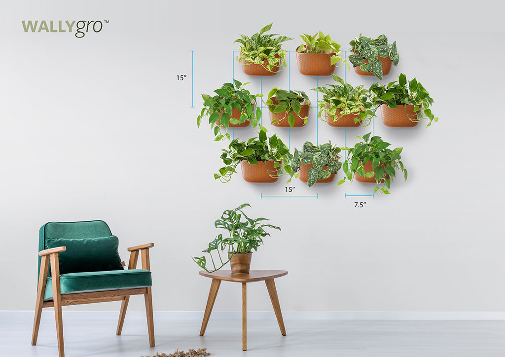Tight Staggered 10: Wally Eco Plant Wall Spacing