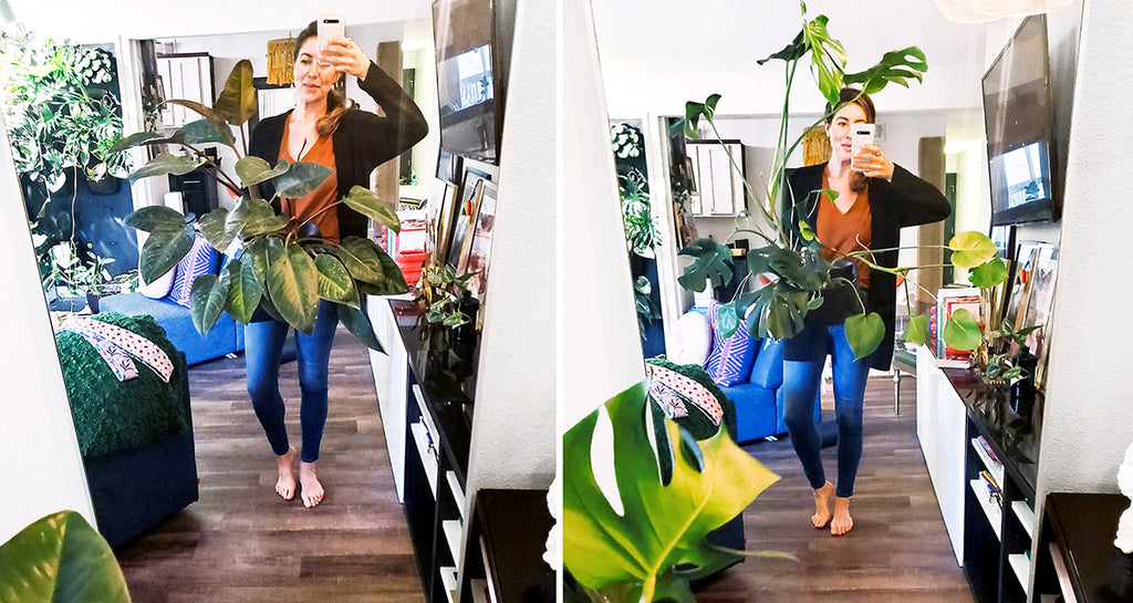 Callie England's large plants in Wally Eco planters