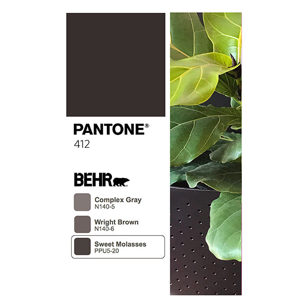 Espresso Eco Pantone