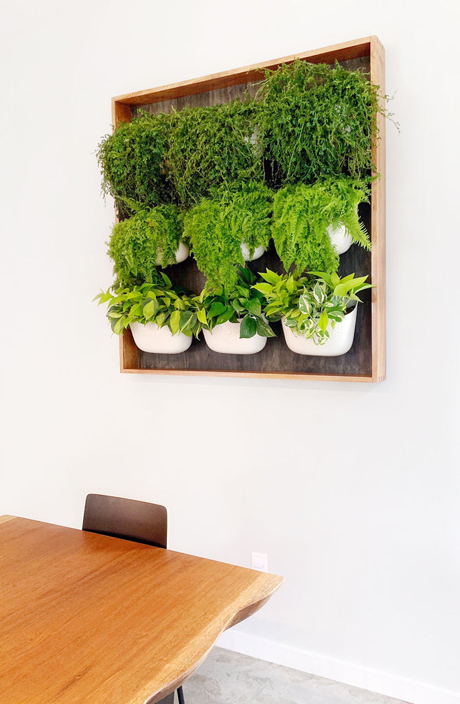 Framed Vertical Garden using Wally Eco planters in White