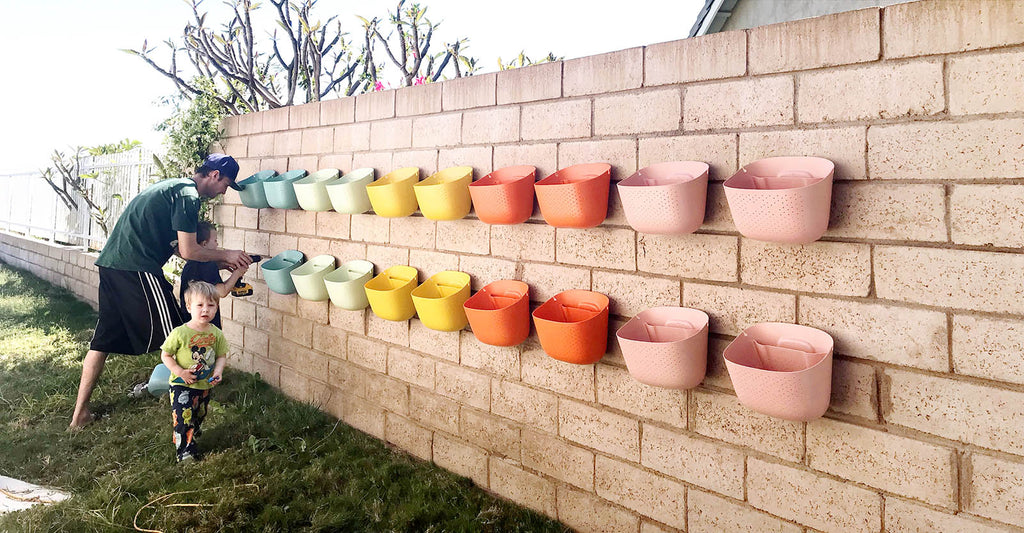 Planting the rainbow Wally Eco plant wall together as a family