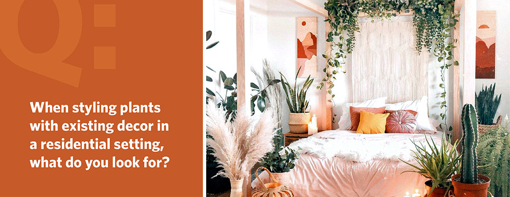 When styling plants with existing decor in a residential setting, what do you look for?