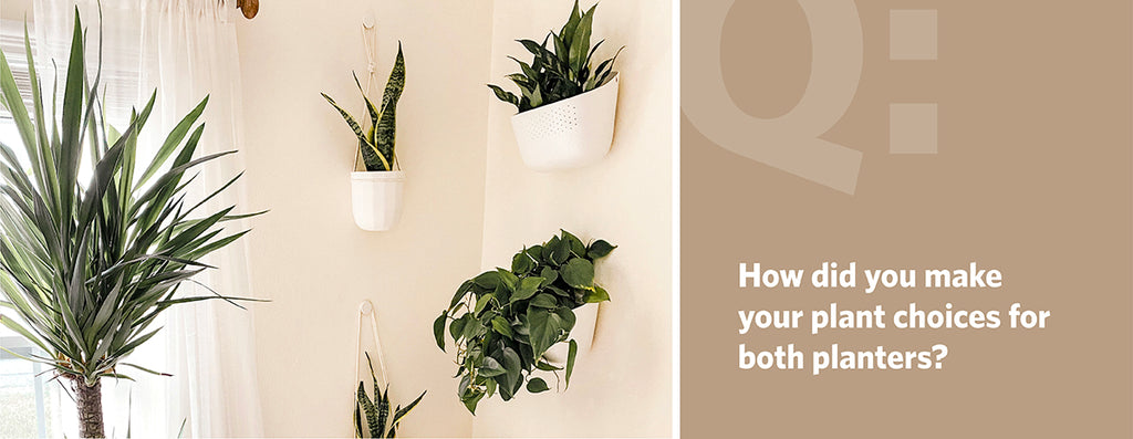 How did you make your plant choices for both planters?