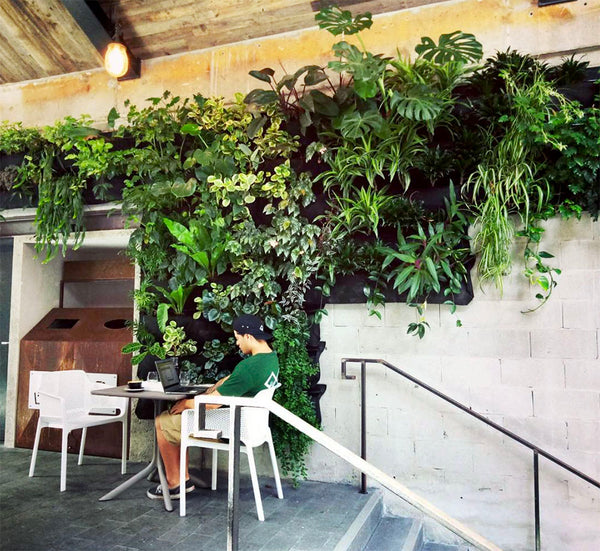 Hire Plants Wally Pro Pocket Vertical Garden Wall 3