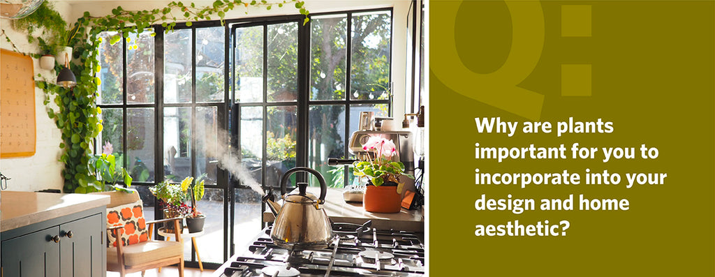 Why are plants important for you to incorporate into your design and home aesthetic?