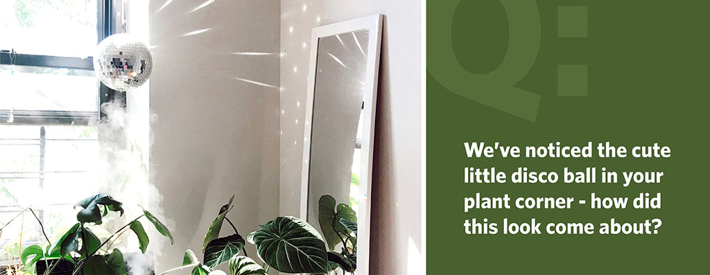 We’ve noticed the cute little disco ball in your plant corner - how did this look come about?