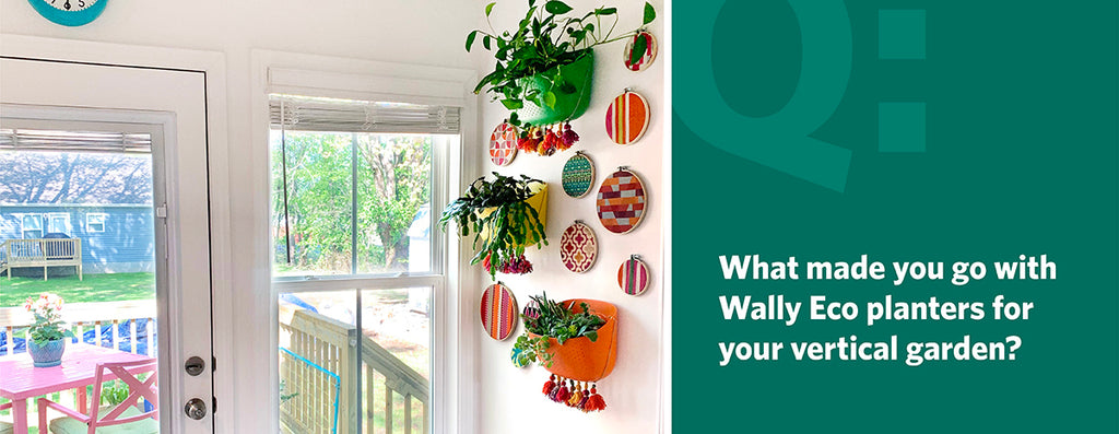 What made you go with Wally Eco planters for your colorful vertical garden?