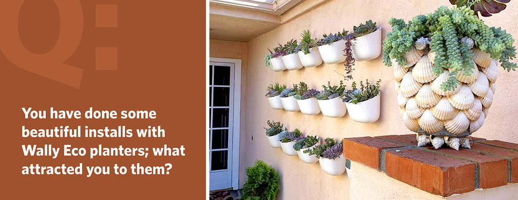 You have done some beautiful installs with Wally Eco planters; what attracted you to them?