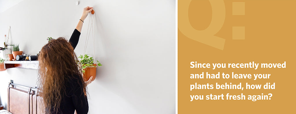 Since you recently moved and had to leave your plants behind, how did you start fresh again? 