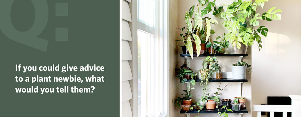 If you could give advice to a plant newbie, what would you tell them?