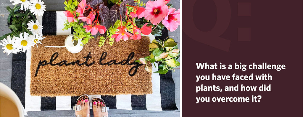 Q: What is a big challenge you have faced with plants and how did you overcome it?