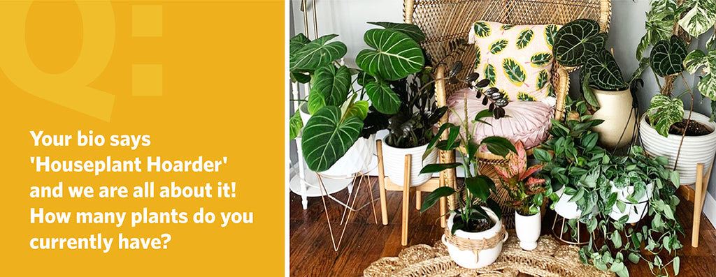 Q: Your bio says 'Houseplant Hoarder' and we are all about it! How many plants do you currently have?