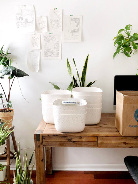 Wally Eco planters out of the box
