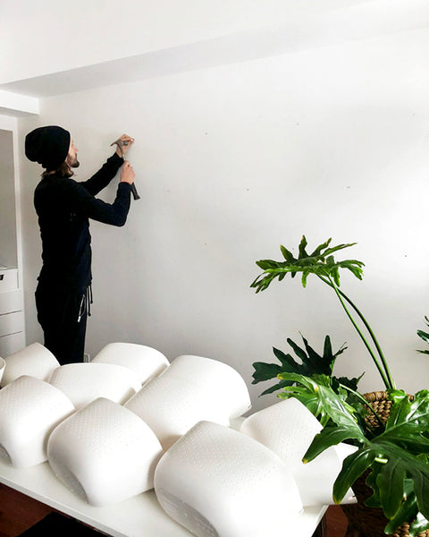 Installing the plant wall