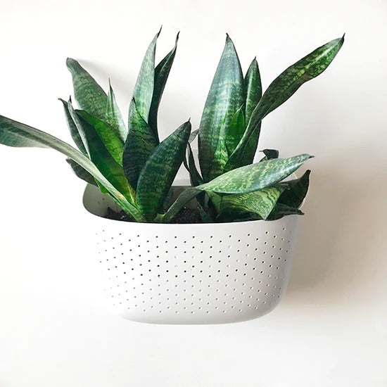 Eco White Wall Planter