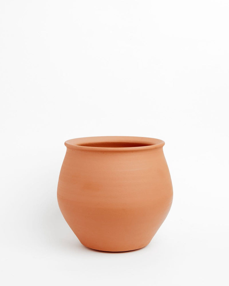 Tulip Terracotta Garden Pots | Palmer Company