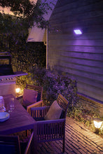 Philips Hue Outdoor Discover Flood Light