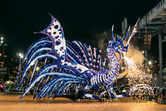 Kings and Queens Trinidad Carnival - Damian Luk Pat 