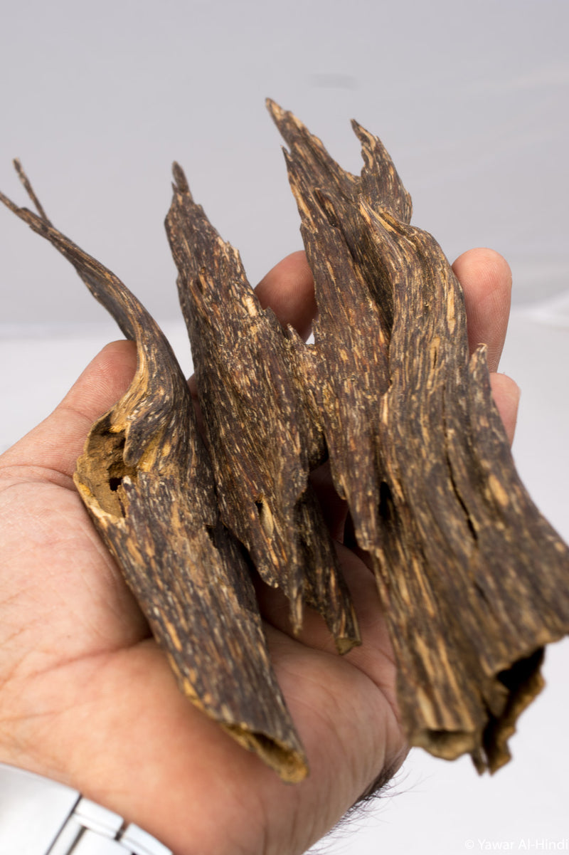 Agaru 2 Agarwood Chips Oud Wood from Assam India Buy Online
