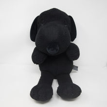 kaws snoopy black