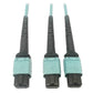 Tripp Lite N846D-03M-24BAQ 400G Multimode 50/125 OM4 Plenum Fiber Optic Cable, 24F MTP/MPO-PC to (x2) 12F MTP/MPO-PC (F/F), Aqua, 3 m