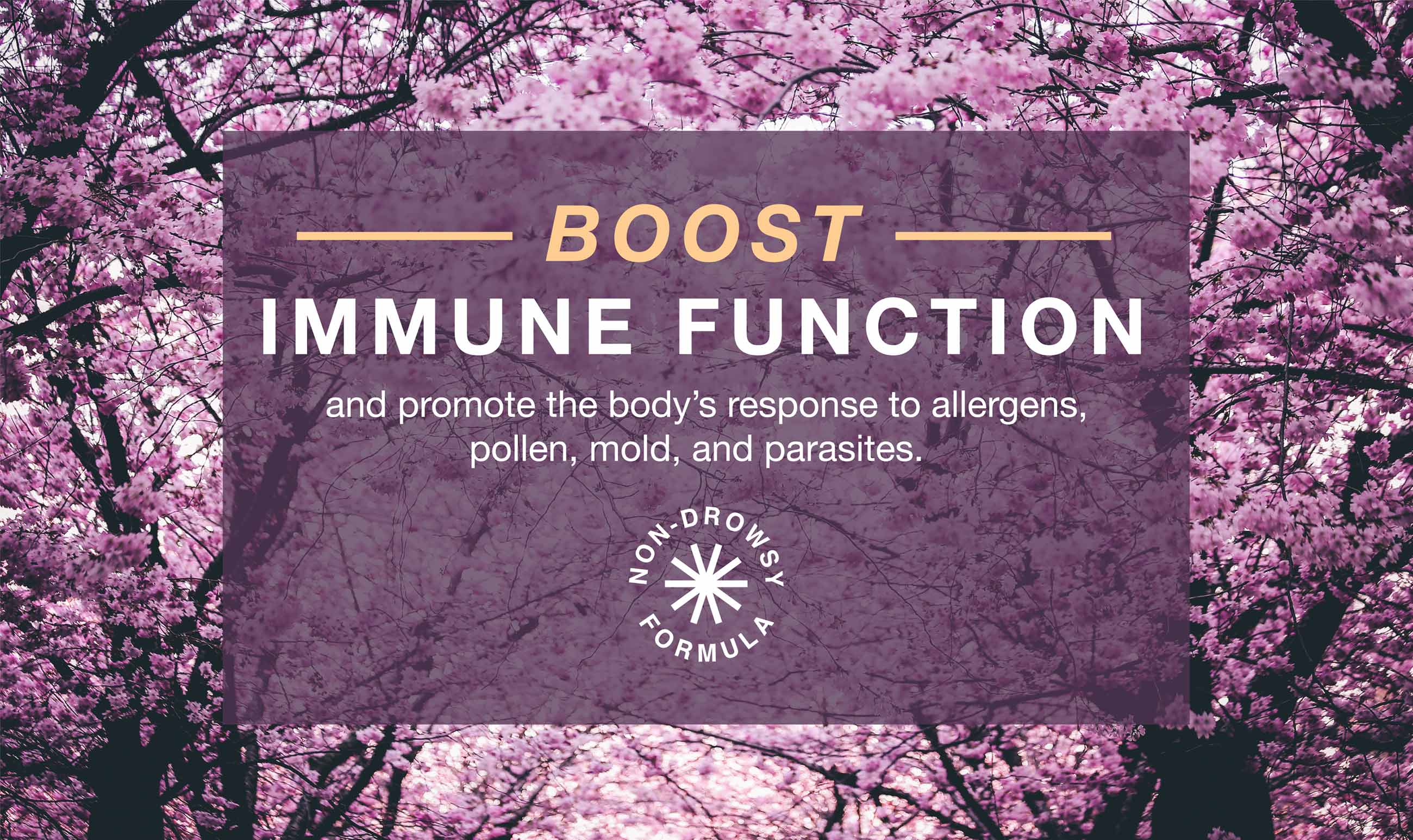 Non-drowsy formula to boost immune function and promote the body's response to allergens, pollen, mold, and parasites.
