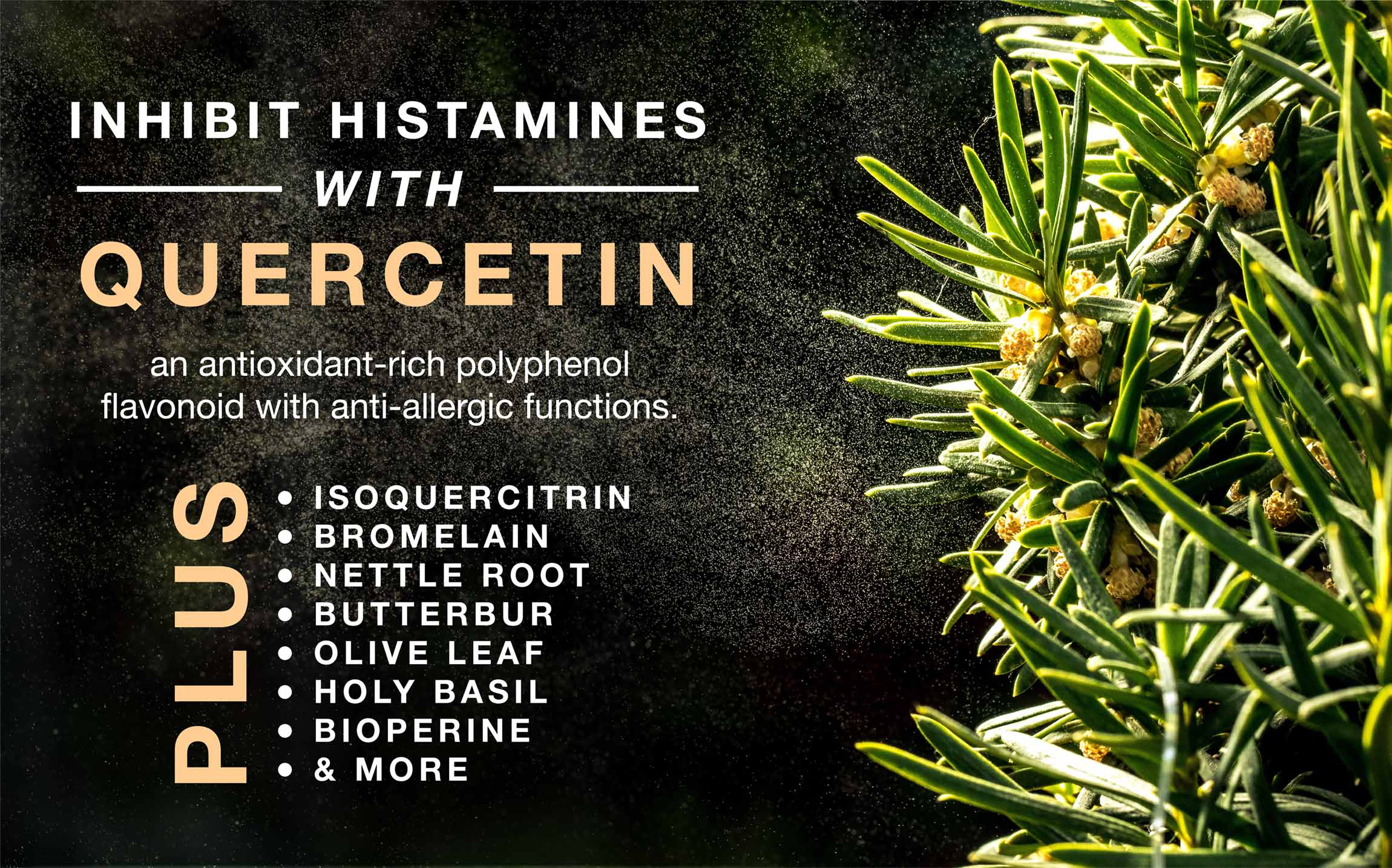 Inhibit histamines with Quercetin, an antioxidant-rich polyphenol flavonoid with anti-allergic functions.
