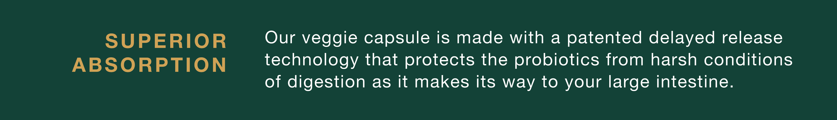 Our veggie capsule is made with a patented delayed release technology that protects the probiotics from harsh digestion