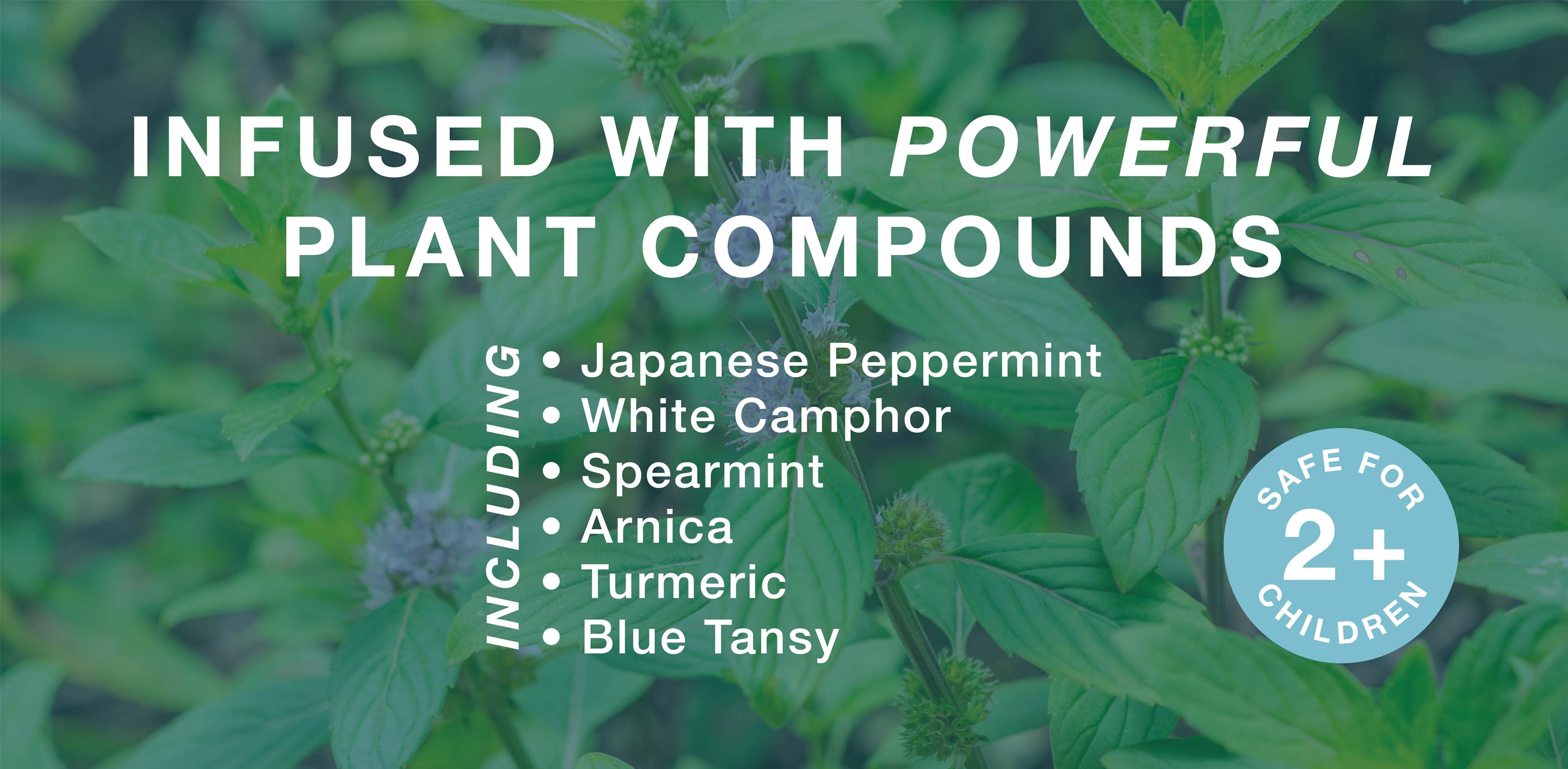 Fusionado con poderosos compuestos vegetales que incluyen menta japonesa, alcanfor blanco y menta verde.