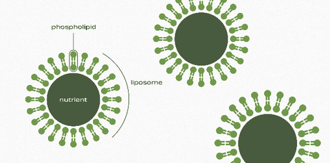 Liposome graphic visual