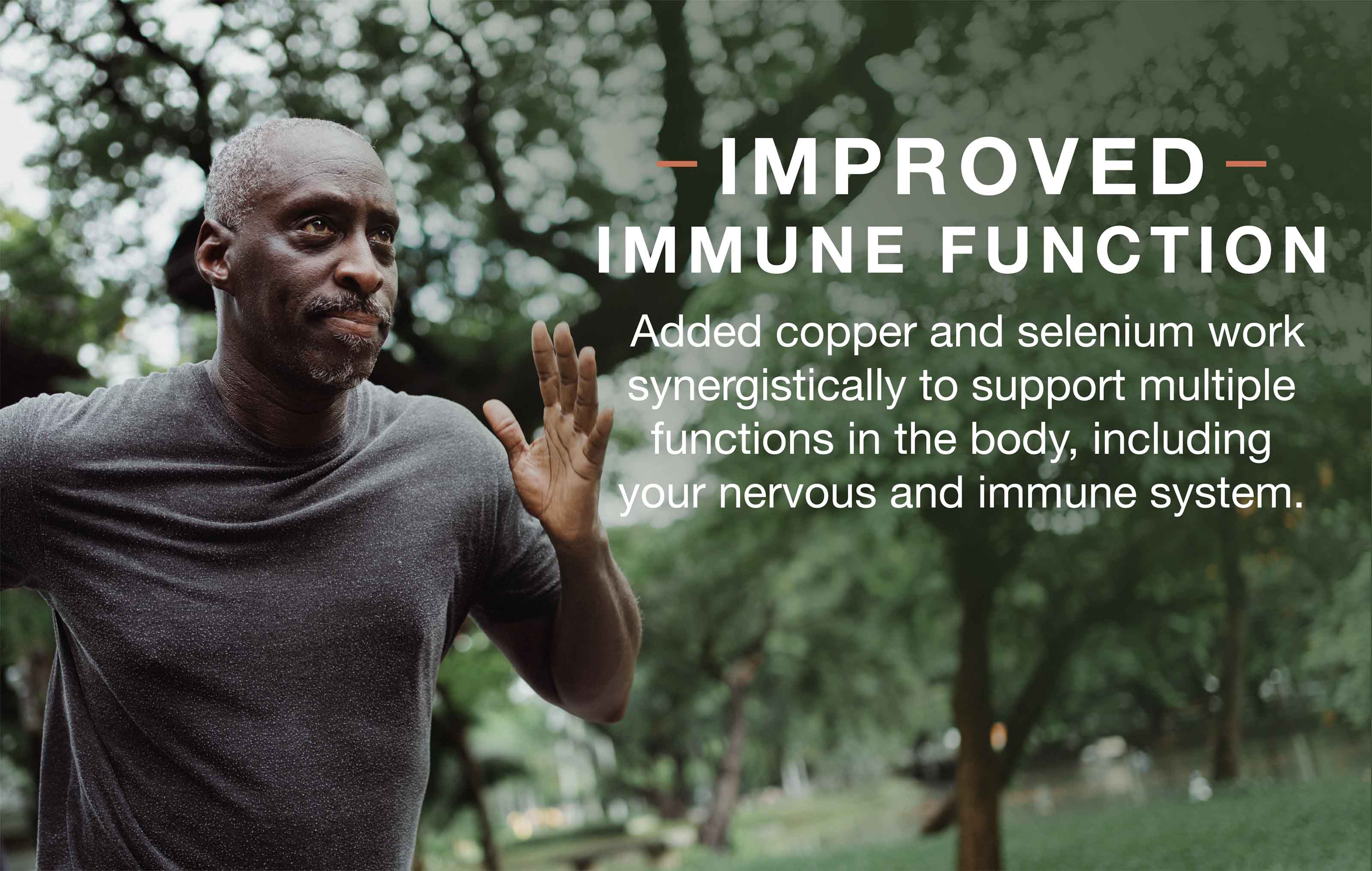 Función inmune mejorada con cobre y selenio agregados, que trabajan sinérgicamente para respaldar múltiples funciones corporales.