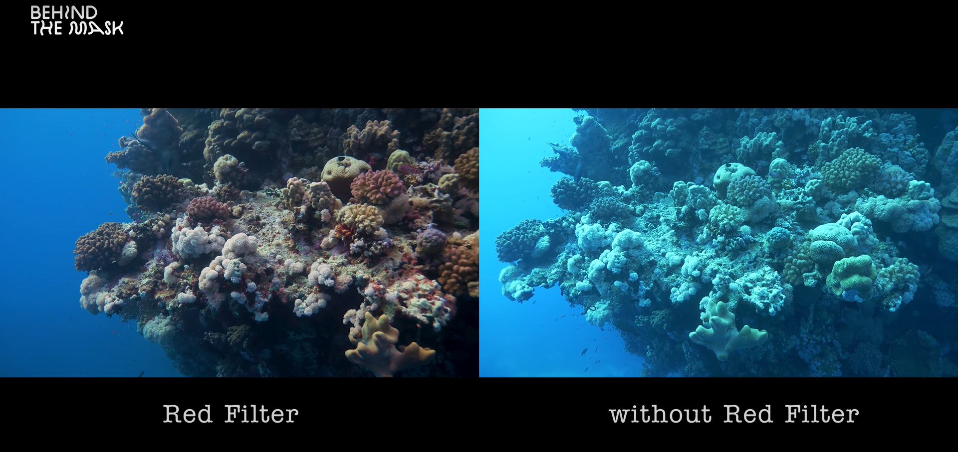 underwater photography with red filter