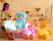 Amazing LED Teddy Bears - LANOOVA STORE