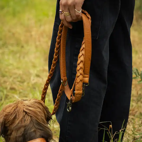 celia læder hundesnor