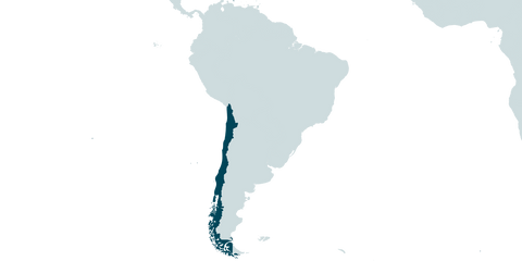 Muud retailers in South America