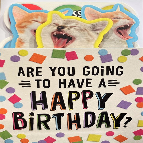 cats singing happy birthday to you