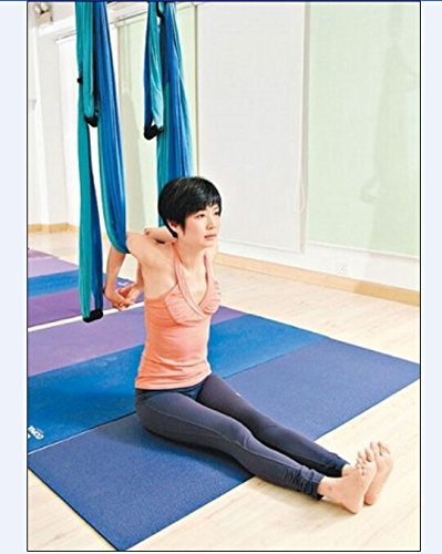 Omni Gym, Aerial Yoga Swings & Stands