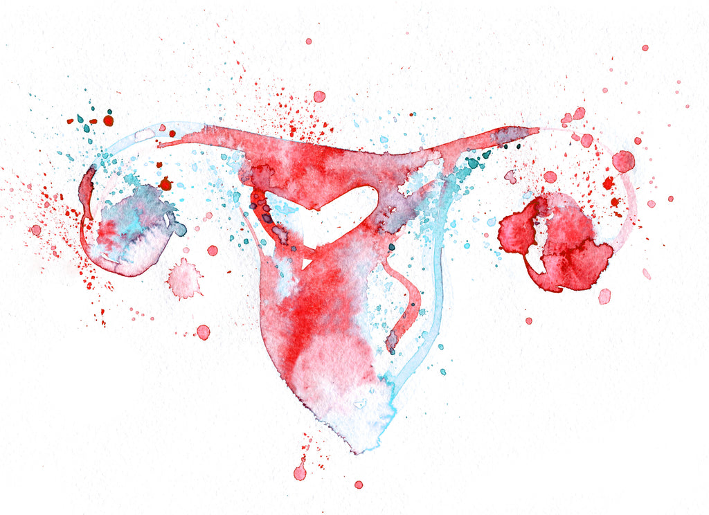 Can I Get Pregnant During My Period Lunette Menstrual Cup