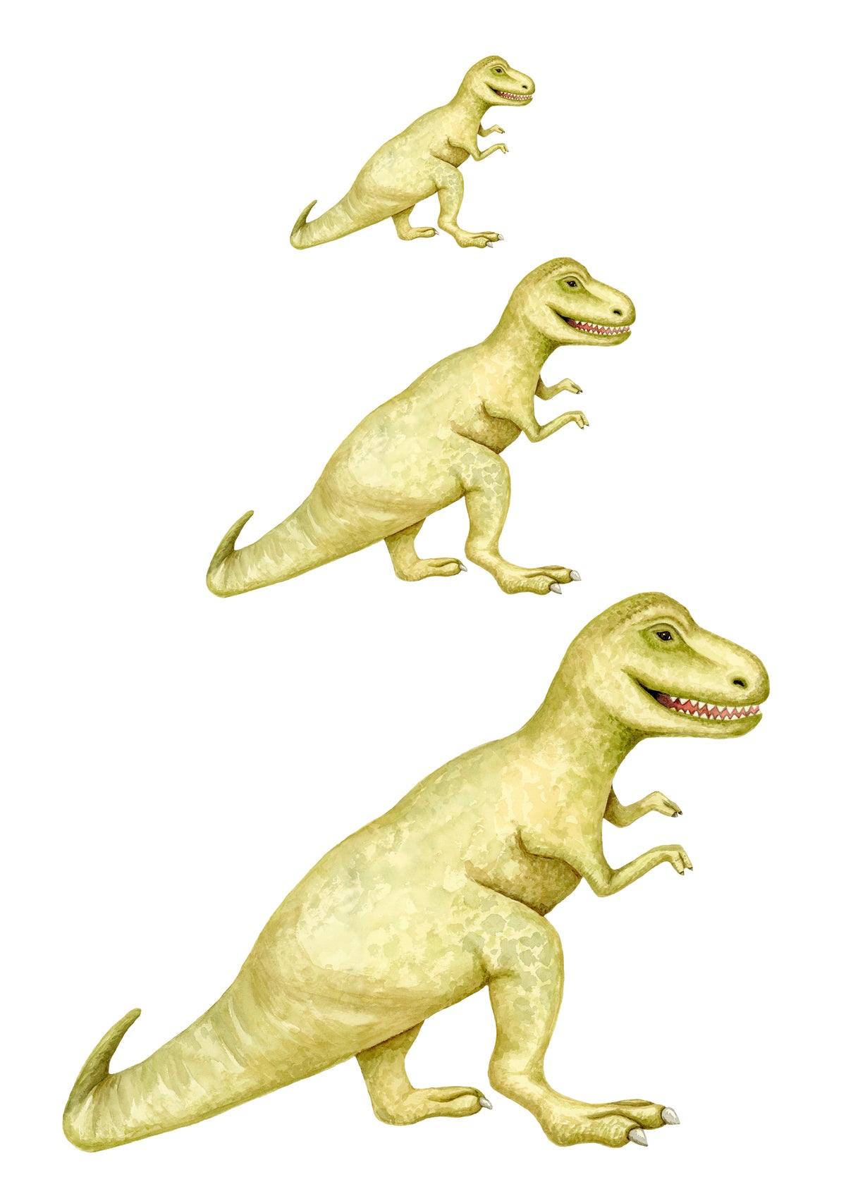 Bi-ceratops Dinosaur Sticker – Maple Layne Market