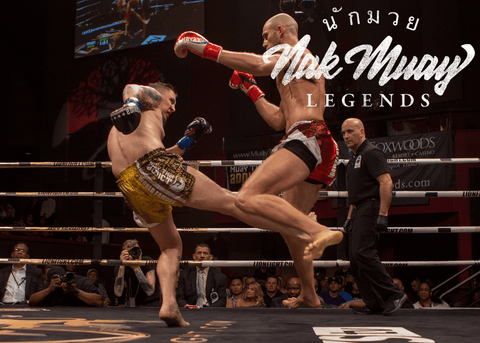 Hlavacek Banasiak Muay Thai Lion Fight 36